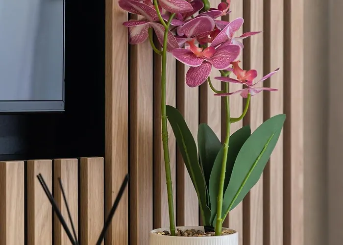 Your Holidays Bel Mare Aqua Apartment