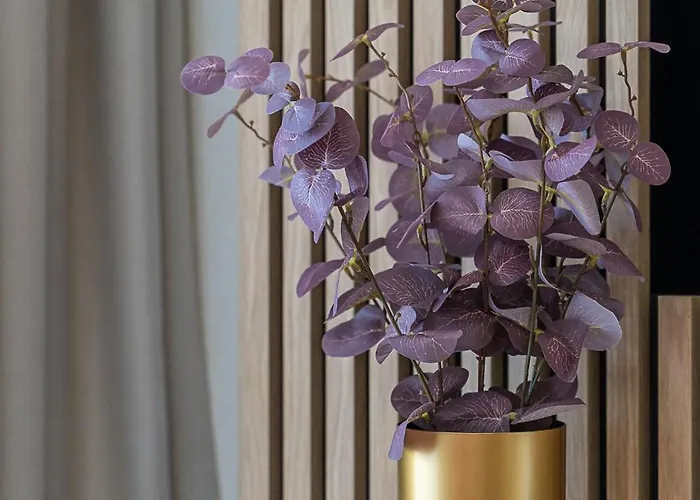 Your Holidays Bel Mare Aqua Misdroy