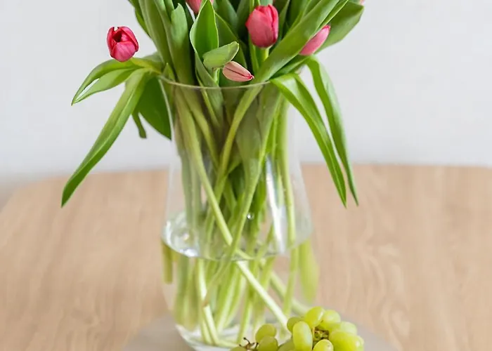 Apartment Your Holidays Bel Mare Aqua